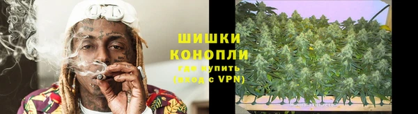 дживик Абаза