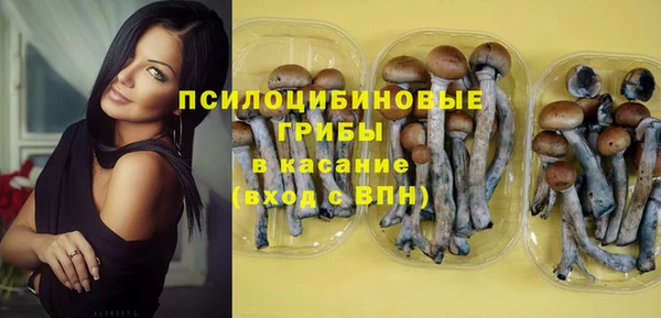 дживик Абаза