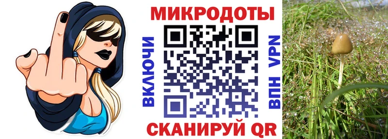 Галлюциногенные грибы мицелий  Отрадное 